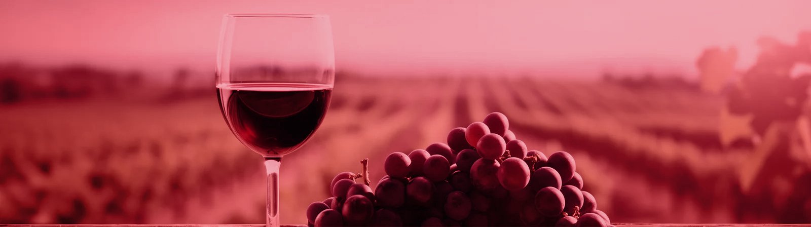 Vin Roșu Sec